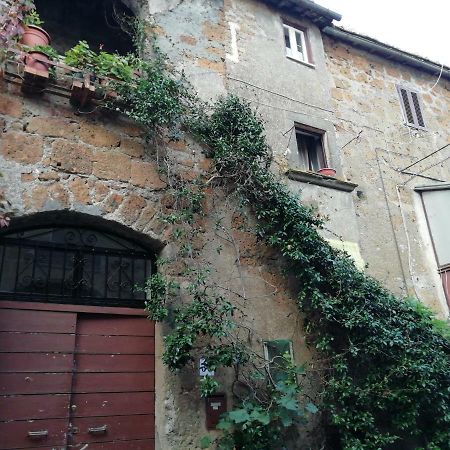 Appartement Relax dal caos di città à Barbarano Romano Extérieur photo