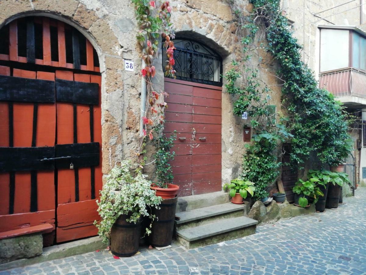 Appartement Relax dal caos di città à Barbarano Romano Extérieur photo