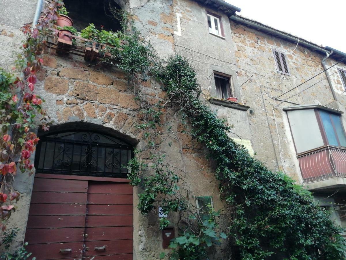 Appartement Relax dal caos di città à Barbarano Romano Extérieur photo