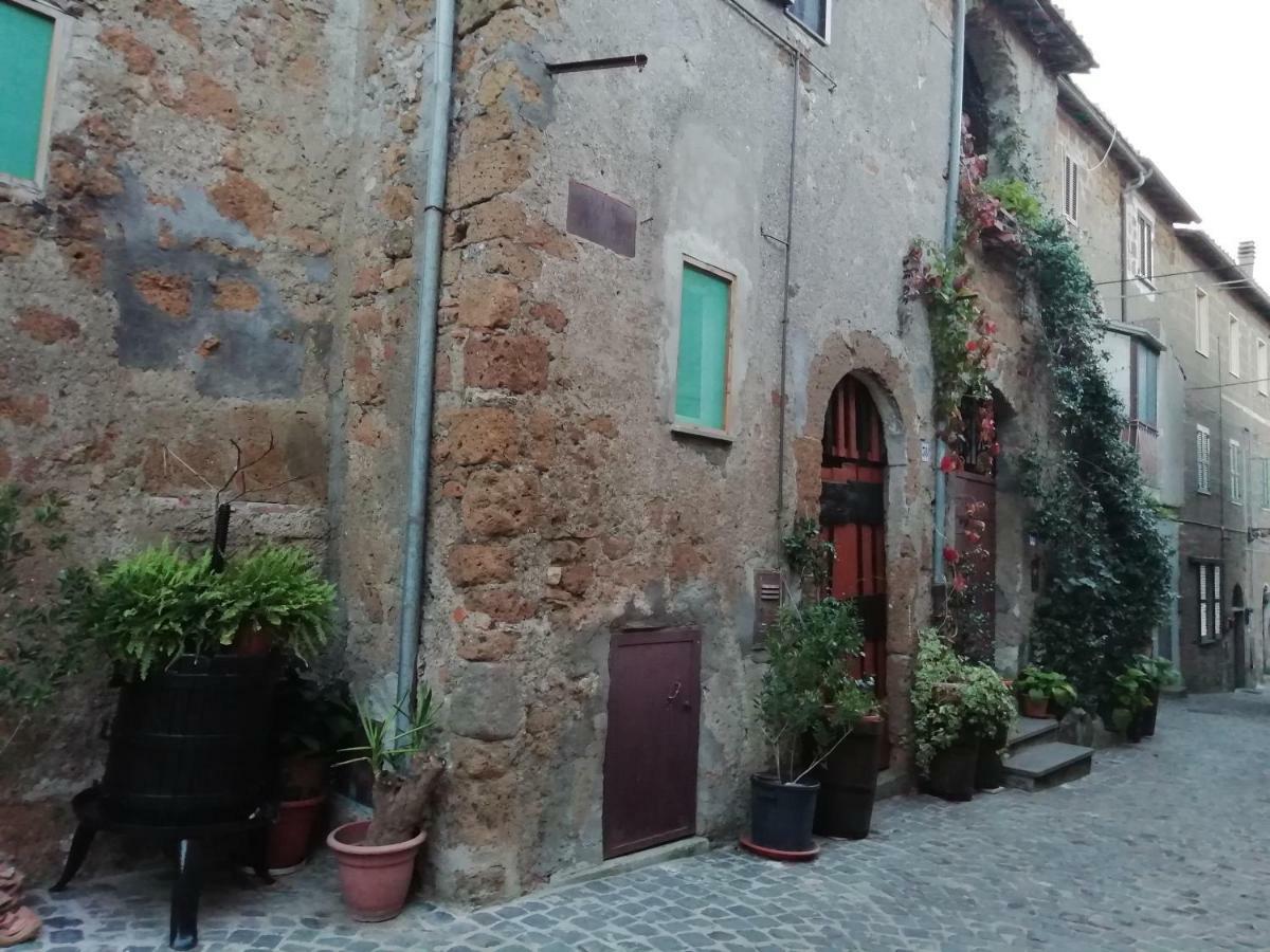 Appartement Relax dal caos di città à Barbarano Romano Extérieur photo