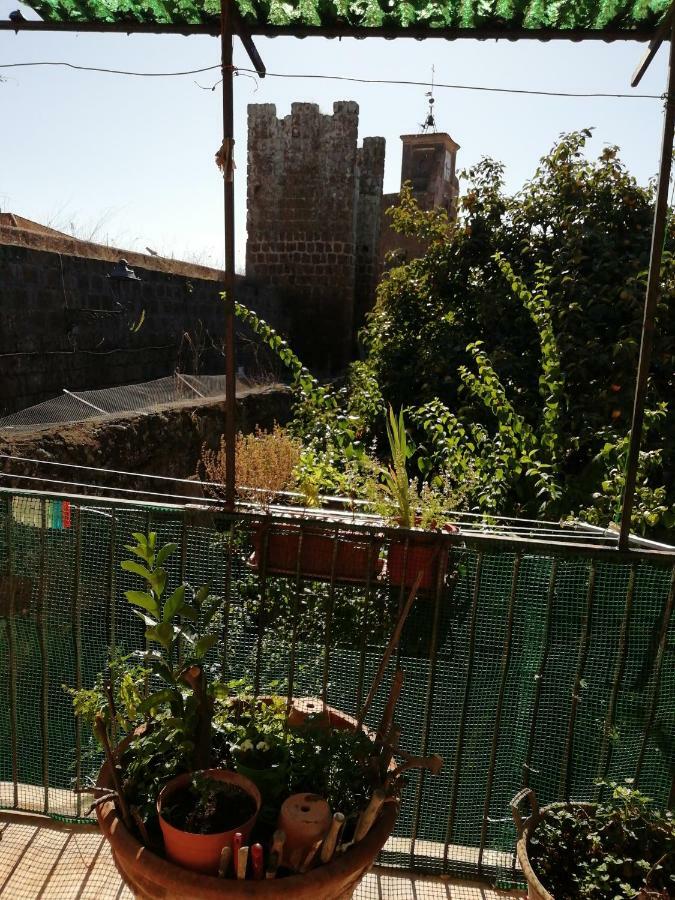 Appartement Relax dal caos di città à Barbarano Romano Extérieur photo