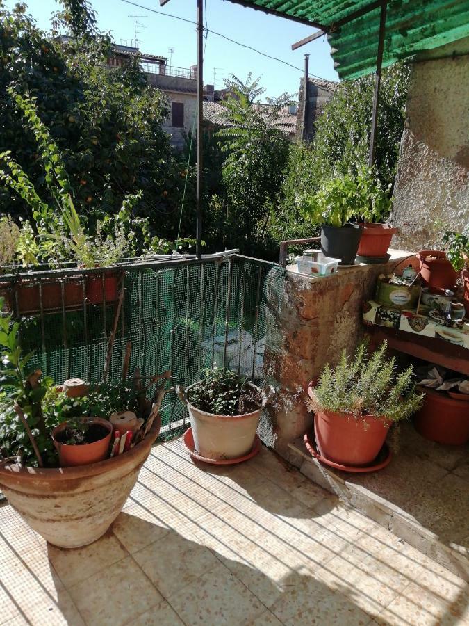 Appartement Relax dal caos di città à Barbarano Romano Extérieur photo
